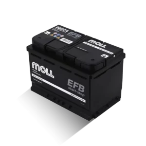 MOLL EFB 82074_1920x1920