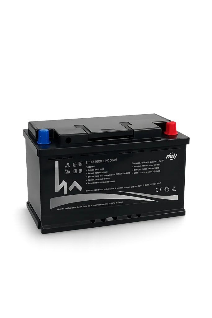 VISION SODIUM 12V 100AH 1200W DIN NAATRIUM